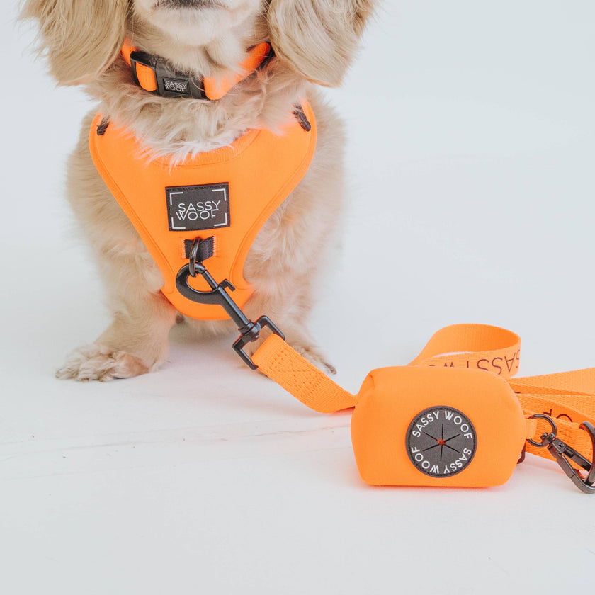 Dog Waste Bag Holder Neon Orange With Clasp