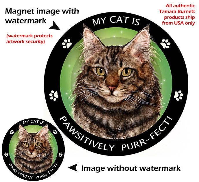 Maine Coon Brown Cat My Best Friend Circular Magnet
