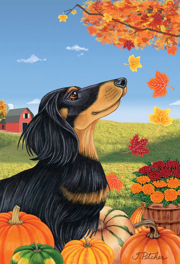 Dachshund, Black & Tan LH Garden Flag (Fall)