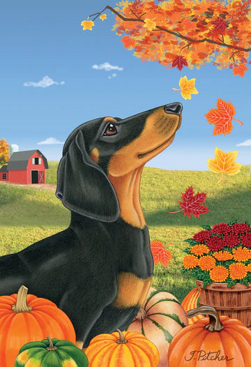 Dachshund, Black & Tan Garden Flag (Fall)