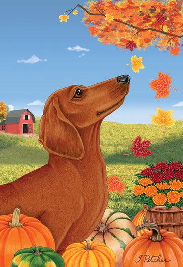 Dachshund, LH Red (Fall) Large Flag