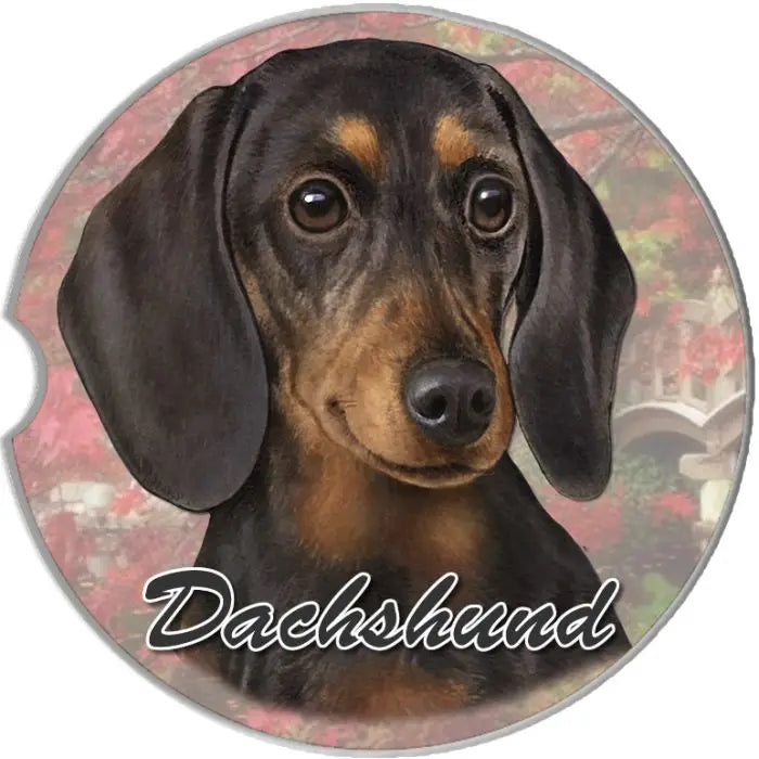 Dachshund, Black and Tan Car Coaster