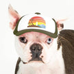 Trucker Hat for Dogs/Cats: Island Sunset Black / S