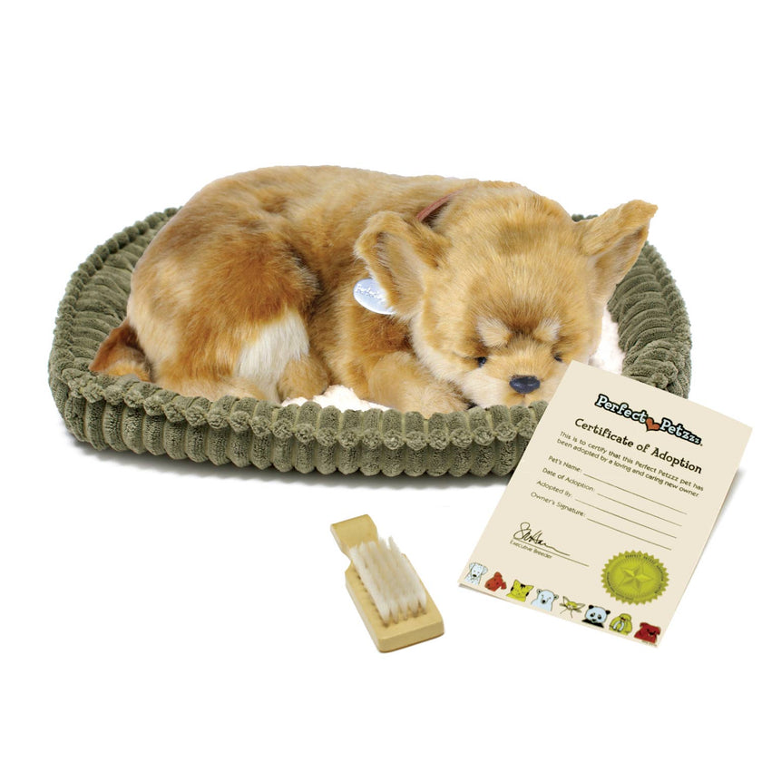 Comprar Perfect Petzzz Chihuahua - Brinquedos Para Crianças Comprar Perfect Petzzz Chihuahua - Brinquedos Para Crianças