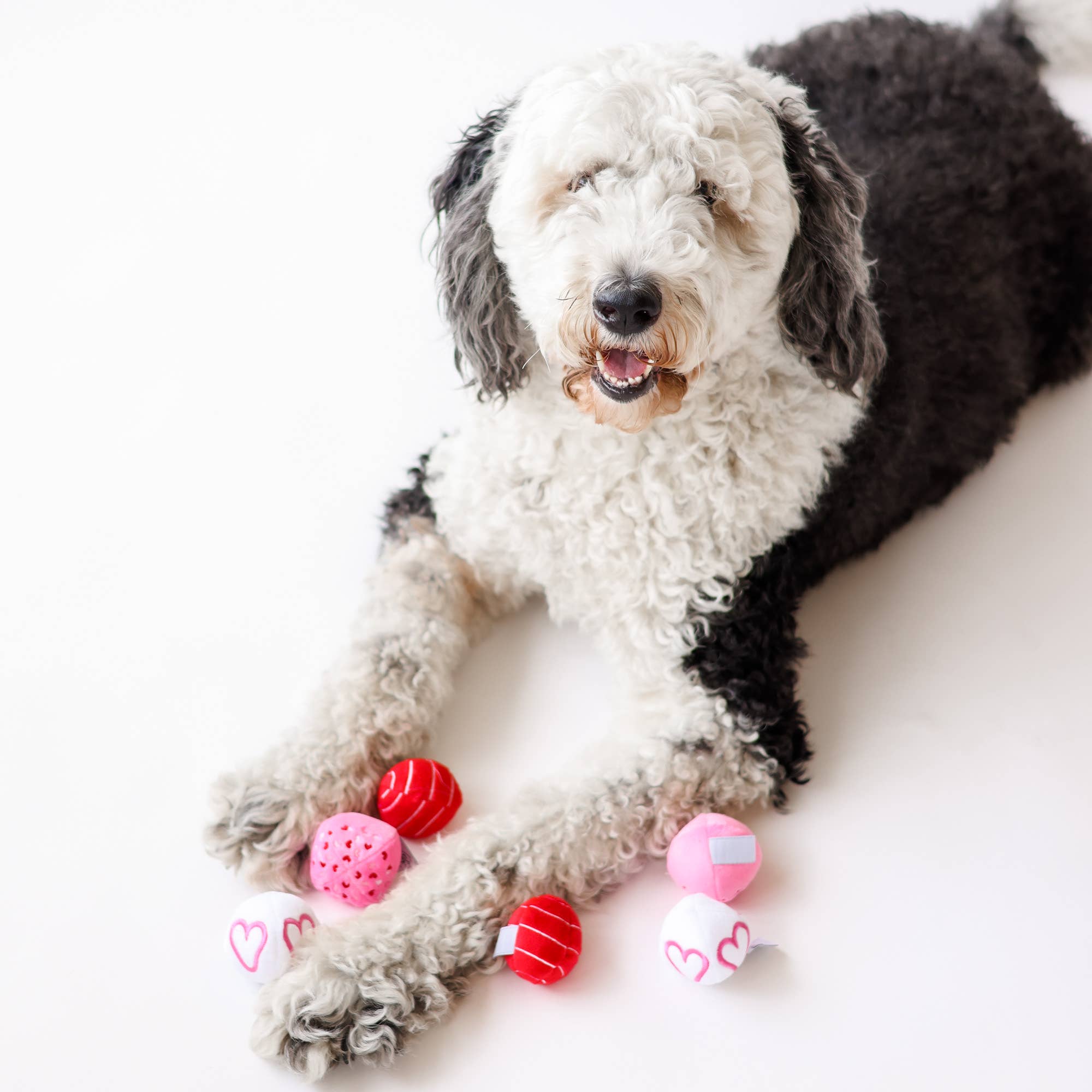 Valentine Plush Ball Dog Toy Single Assorted