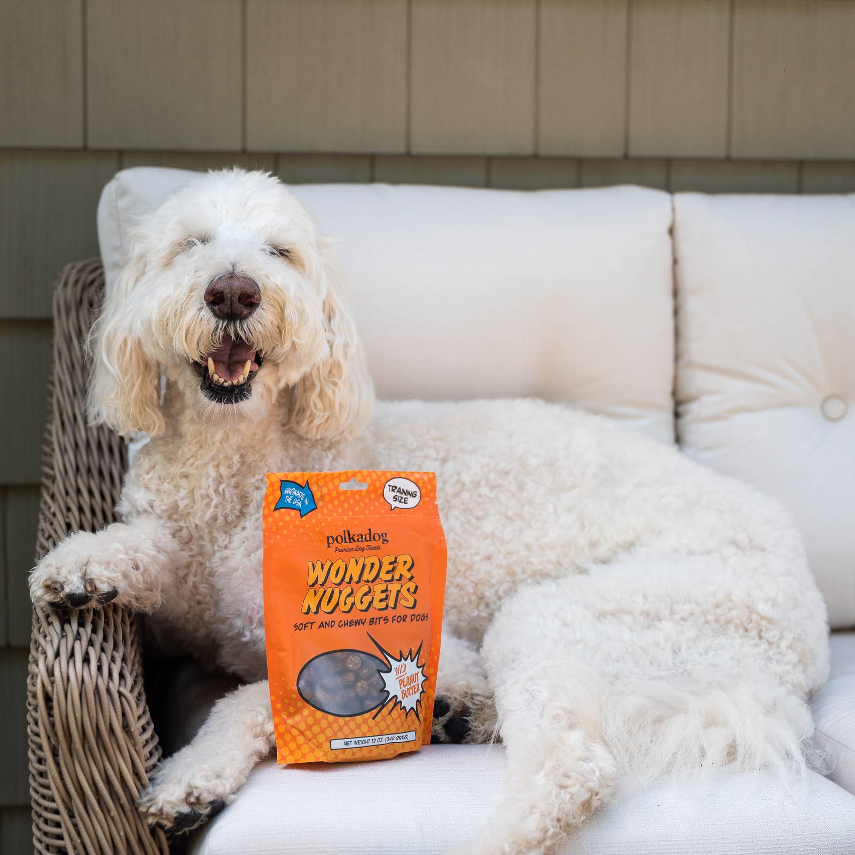 Wonder Nuggets, Peanut Butter - 10oz - Dog Treats