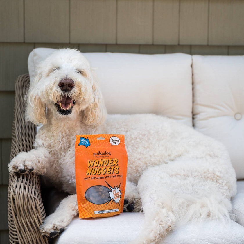 Wonder Nuggets, Peanut Butter - 10oz - Dog Treats