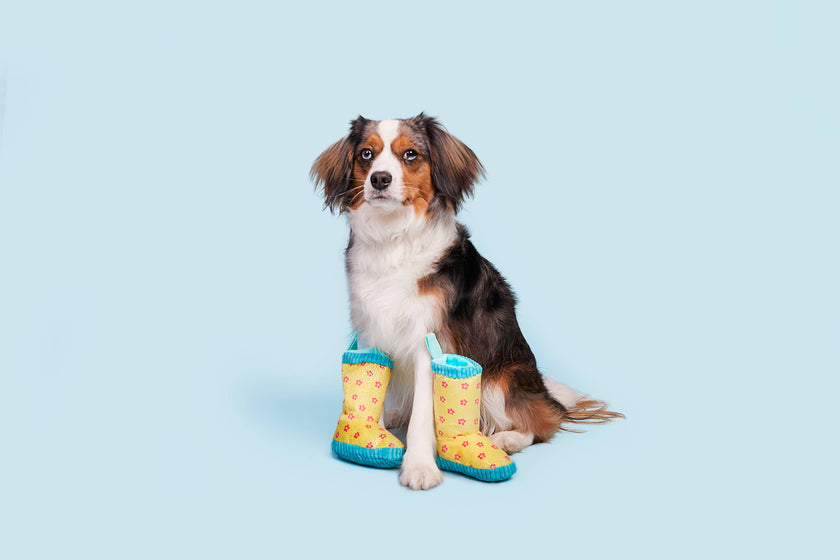 Dog Toy Rain Boots BARK Smelly Wellies Plush Toy