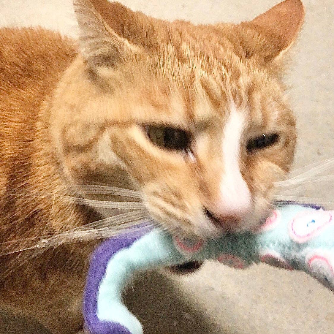 Cat Toy Tentacle Catnip Kraken Plush Toy