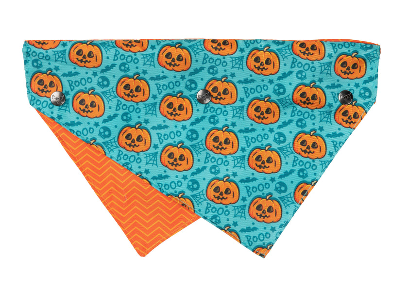 FuzzYard Bandana Jack Jack Jackie Lantern Teal