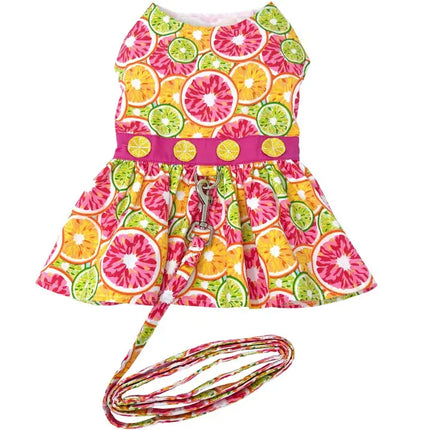 Citrus Slice Dog Dress w/ Matching Leash