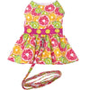 Citrus Slice Dog Dress w/ Matching Leash