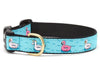 Floaties Dog Collar