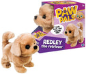 Westminster Redley the Walking Golden Retriever Dog