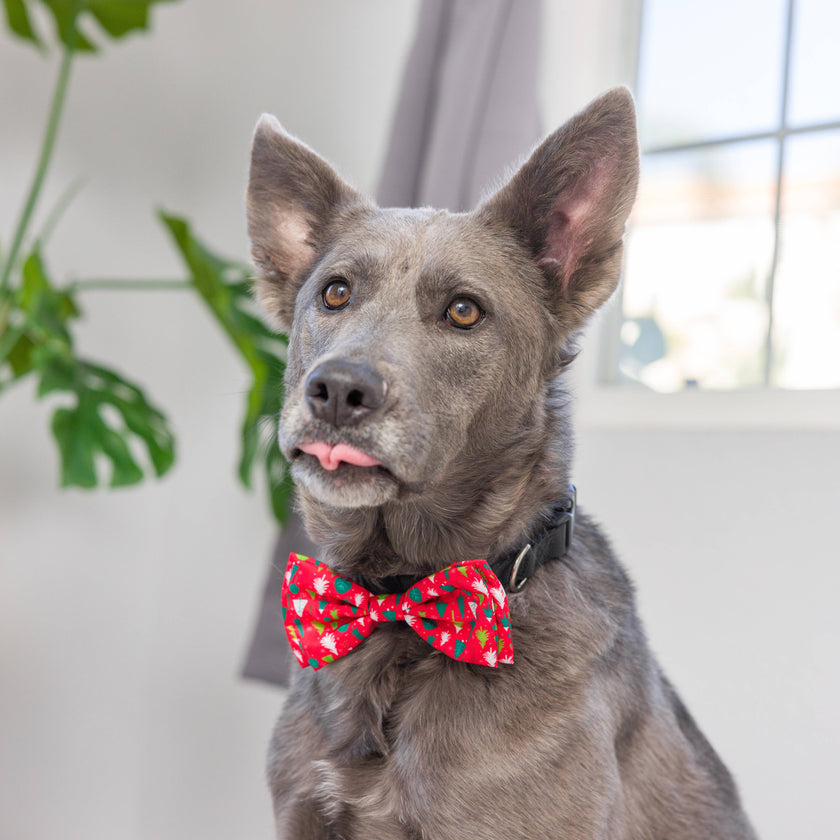 H&K Christmas Trees Bow Tie