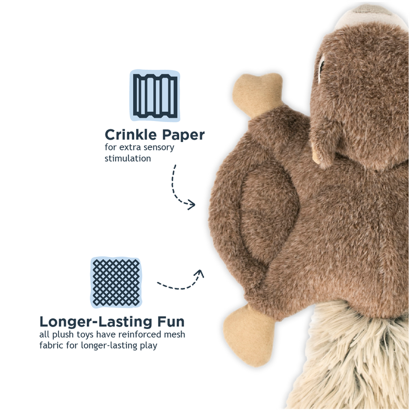 Dog Toy Squirrel Fling and Fetch Plush Toy