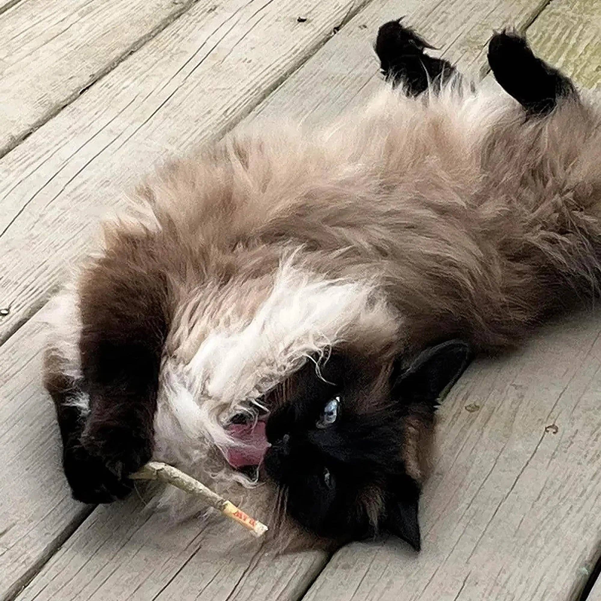 Meowijuana® Catnibas® King Size Rollies