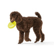 Dog Toy Zisc® Flying Disc Floating Fetch Toy