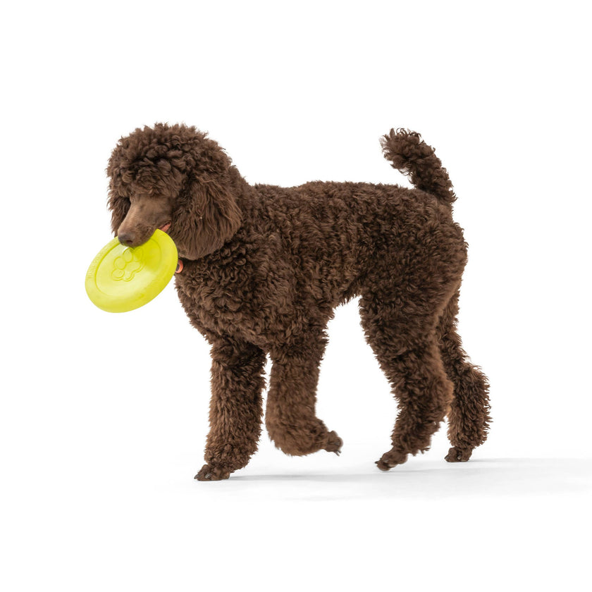 Dog Toy Zisc® Flying Disc Floating Fetch Toy