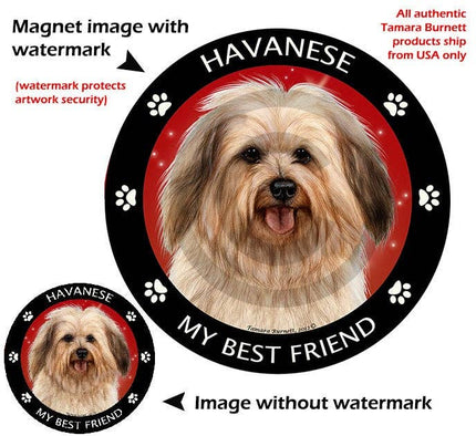 Havanese My Best Friend Circular Magnet