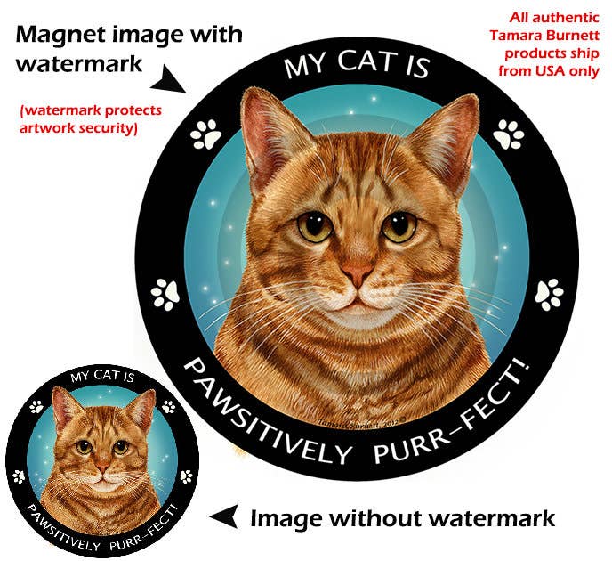 Orange Tabby Cat My Best Friend Circular Magnet
