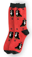 Bernese Mt. Dog- Dog Socks Unisex