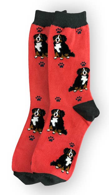 Bernese Mt. Dog- Dog Socks Unisex