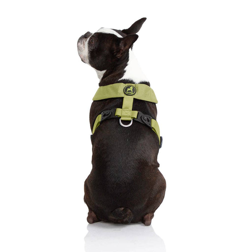 Comfort X Harness Dual Snap Dog Harness