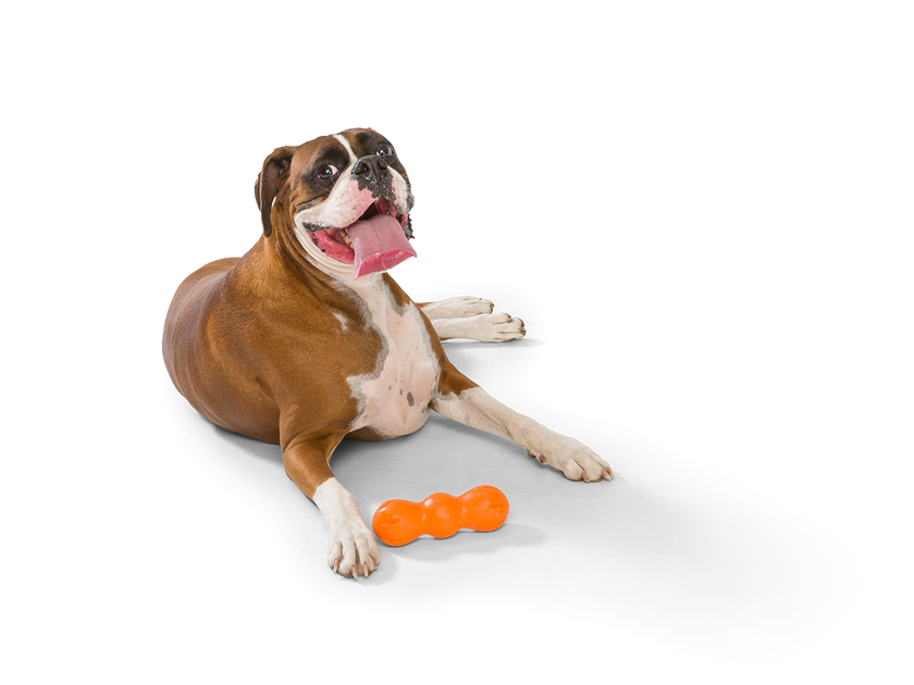 Rumpus® Dog Chew Toy