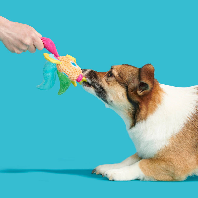 BARK Ahi Tina Plush Dog Toy