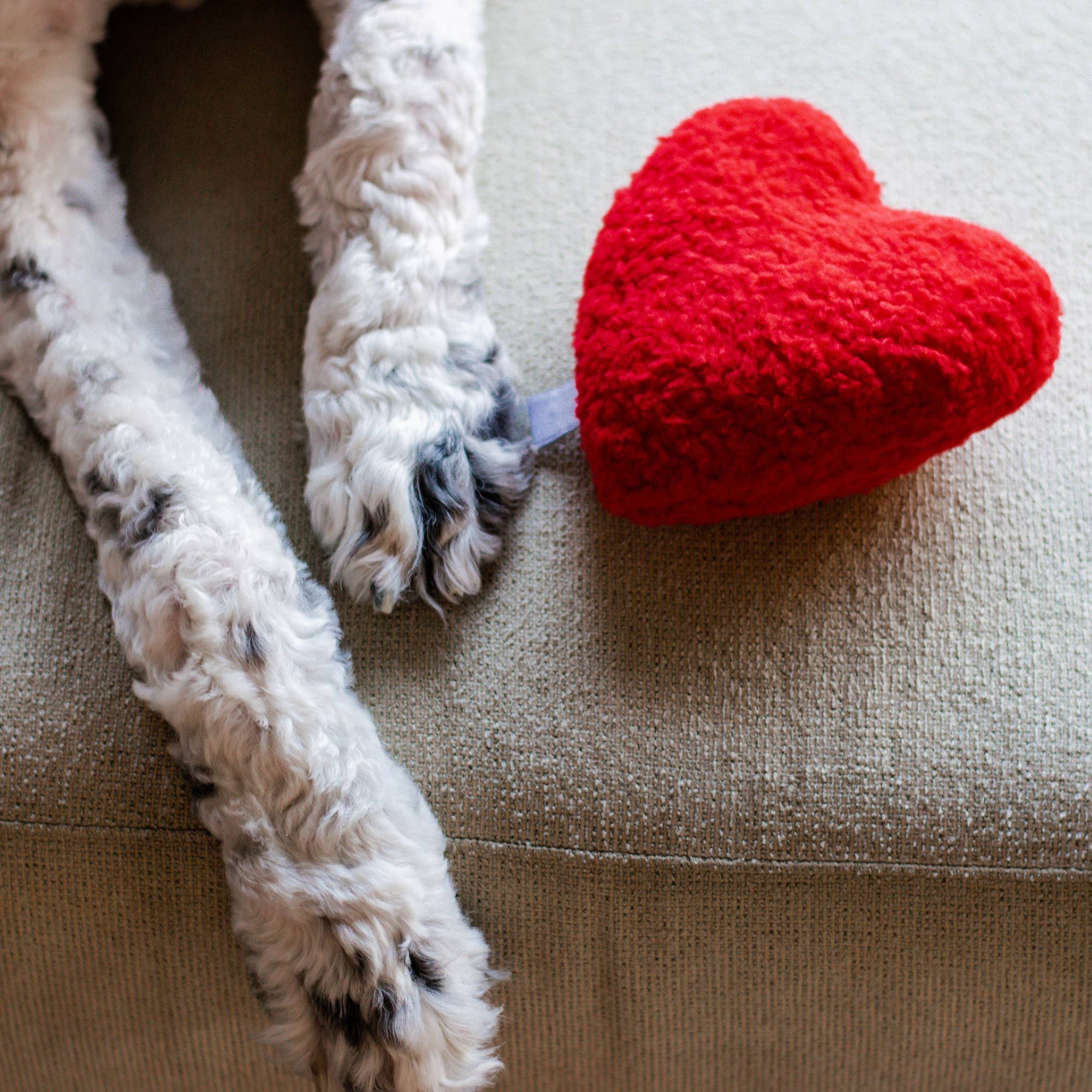 Valentine's Plush Red Heart Valentine's Day Dog Toy