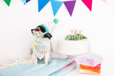 Pearhead Birthday Pup Pet S/M Bandana Hat Set