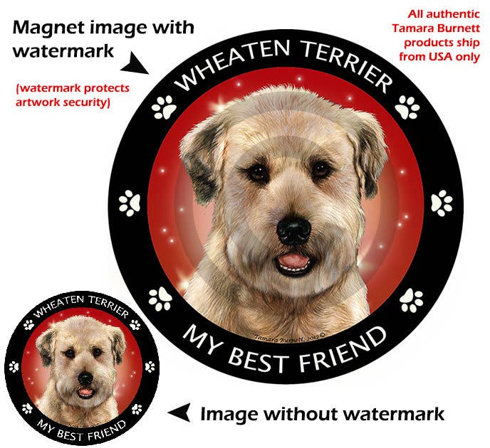 Soft Coated Wheaten My Best Friend Circular Magnet