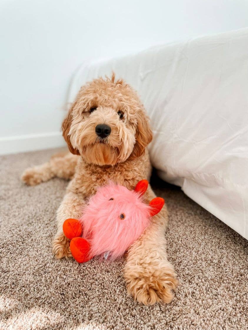 Valentine's Love Bug Valentine's Day Dog Toy