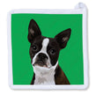 Boston Terrier  Potholder