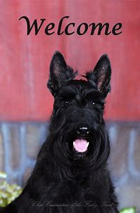 Scottish Terrier Welcome Garden Flag