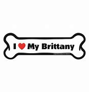 Brittany - Bone Shaped Magnet