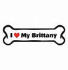 Brittany - Bone Shaped Magnet