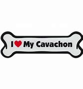 Cavachon - Bone Shaped Magnet