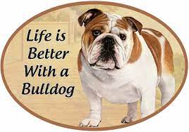 Bulldog - Life is Better Oval Magnet