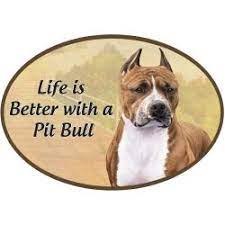 Pit Bull - Life is Better Oval Magnet