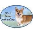 Corgi - Life is Better Oval Magnet