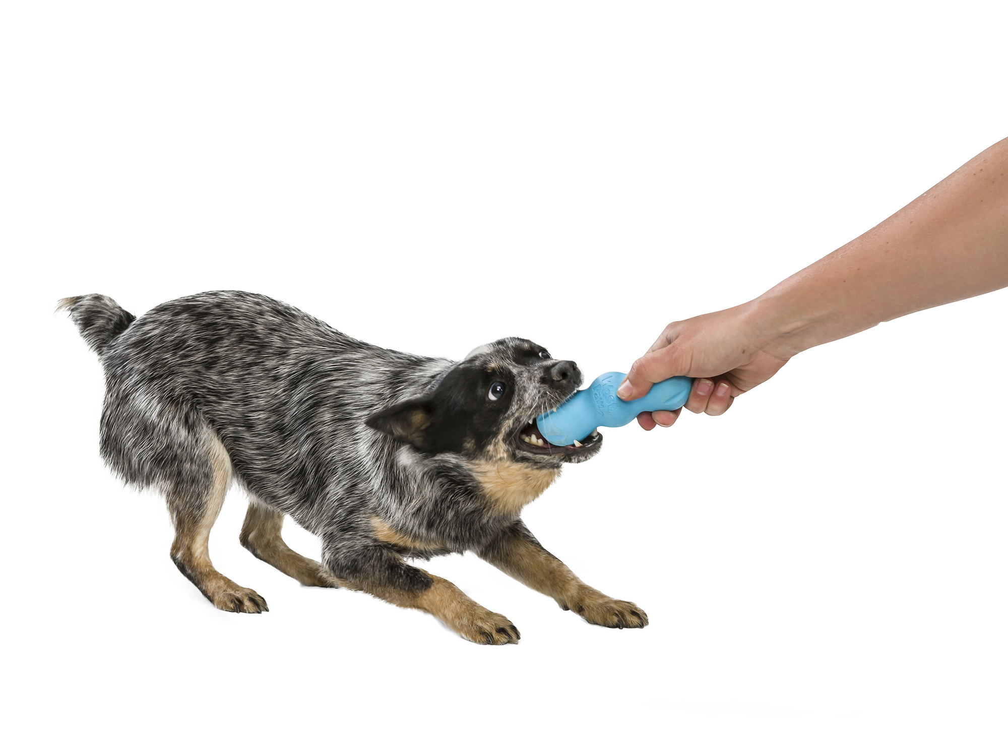 Rumpus® Dog Chew Toy