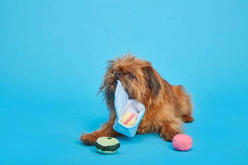 BARK Wee Wee Macarons Dog Toy