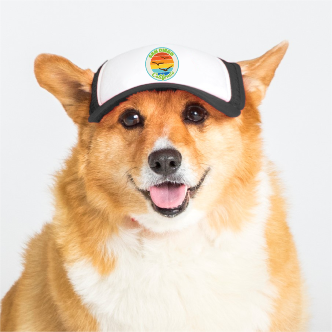 Trucker Hat for Dogs/Cats- Seagull