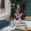 Dog Waste Bag Holder - Gilmore Girls™