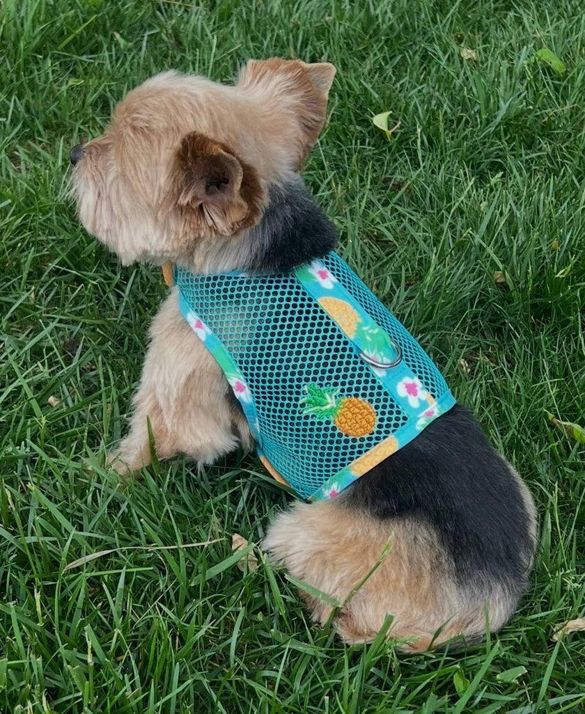 Cool Mesh Dog Harness - Pineapple Luau