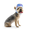 Summer Sailboats Beach Dog Hat