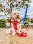 Dog Waste Bag Holder - Merlot