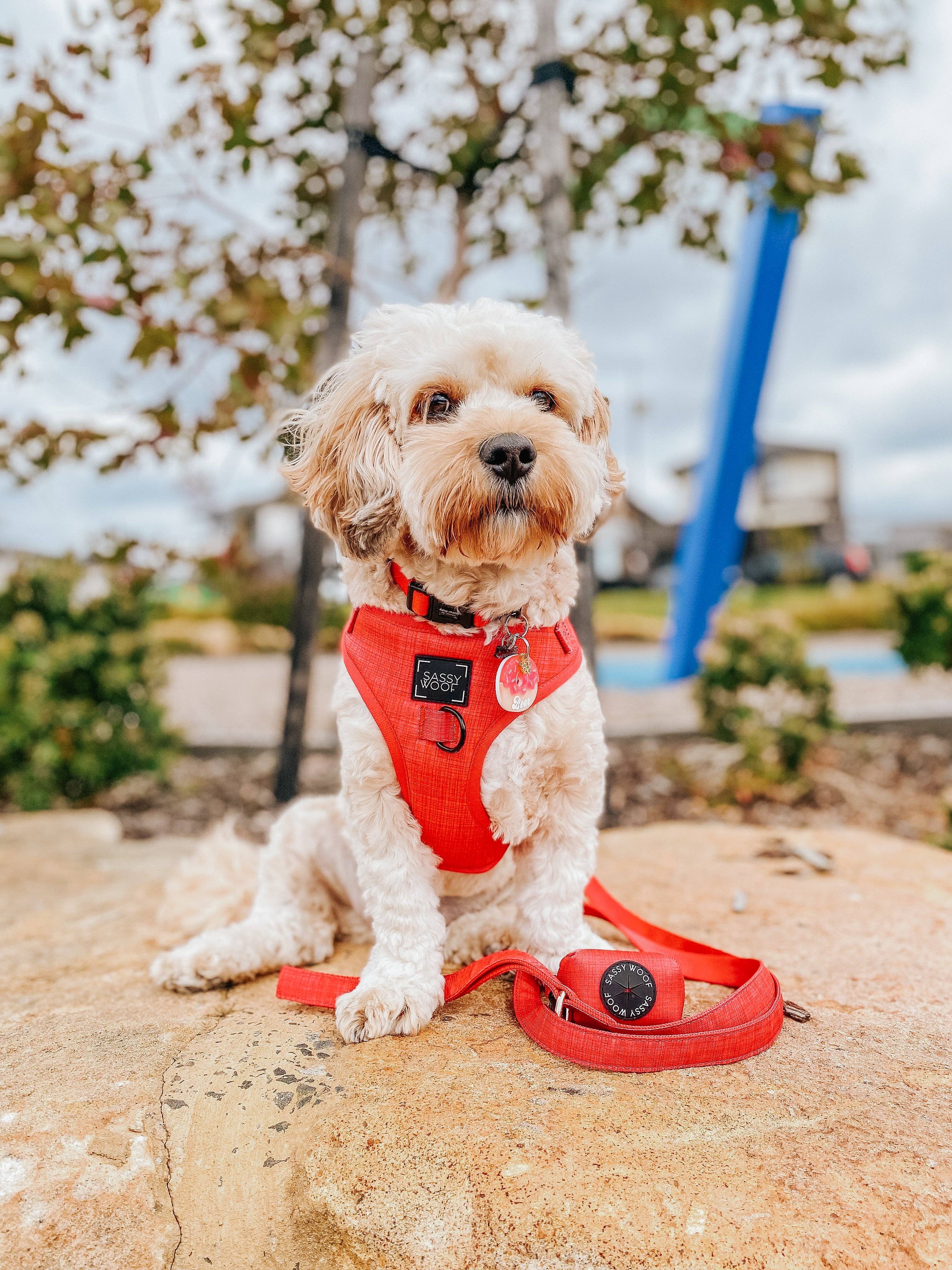 Dog Waste Bag Holder - Merlot